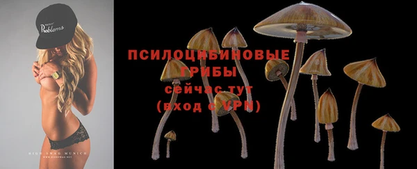твердый Липки