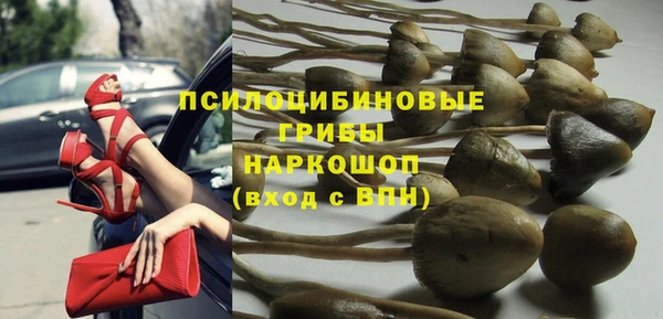 синтетический гашиш Ладушкин