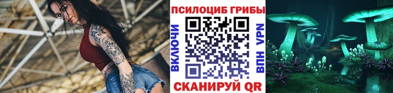 как найти закладки  Якутск  Псилоцибиновые грибы Psilocybine cubensis 