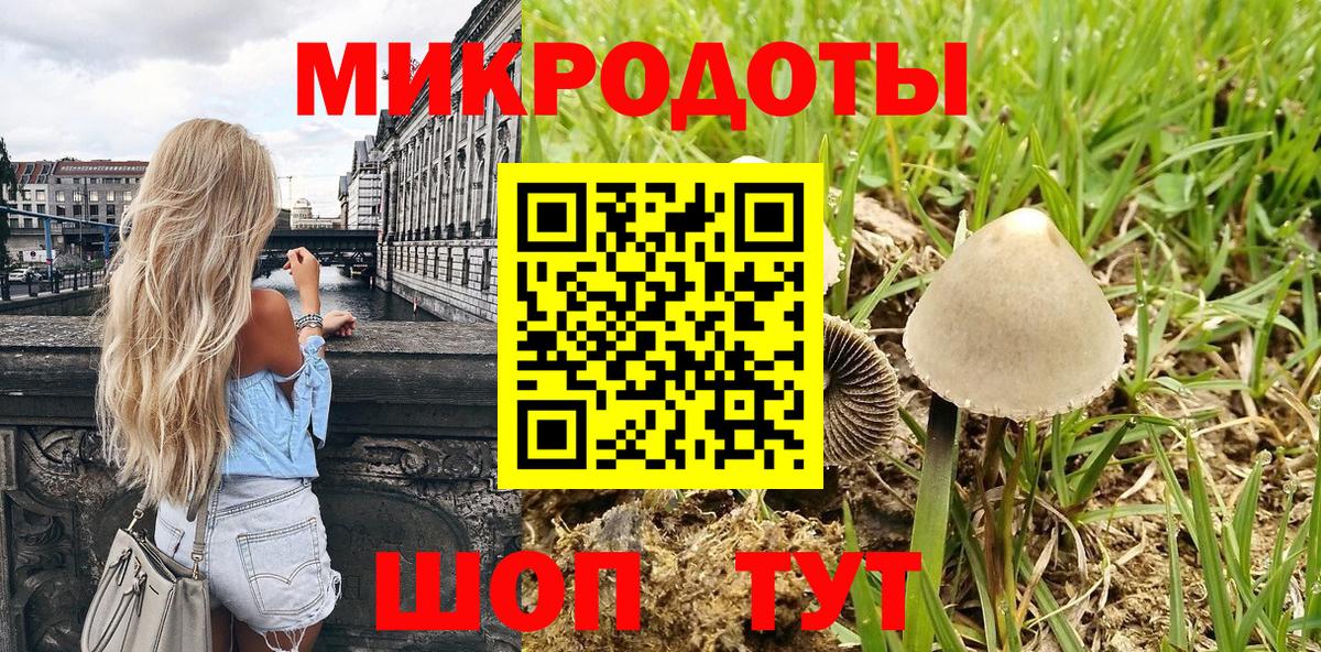 Галлюциногенные грибы Psilocybe Якутск